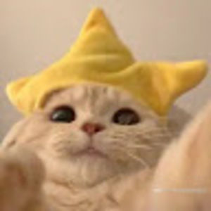 Meet your Posher, Gia